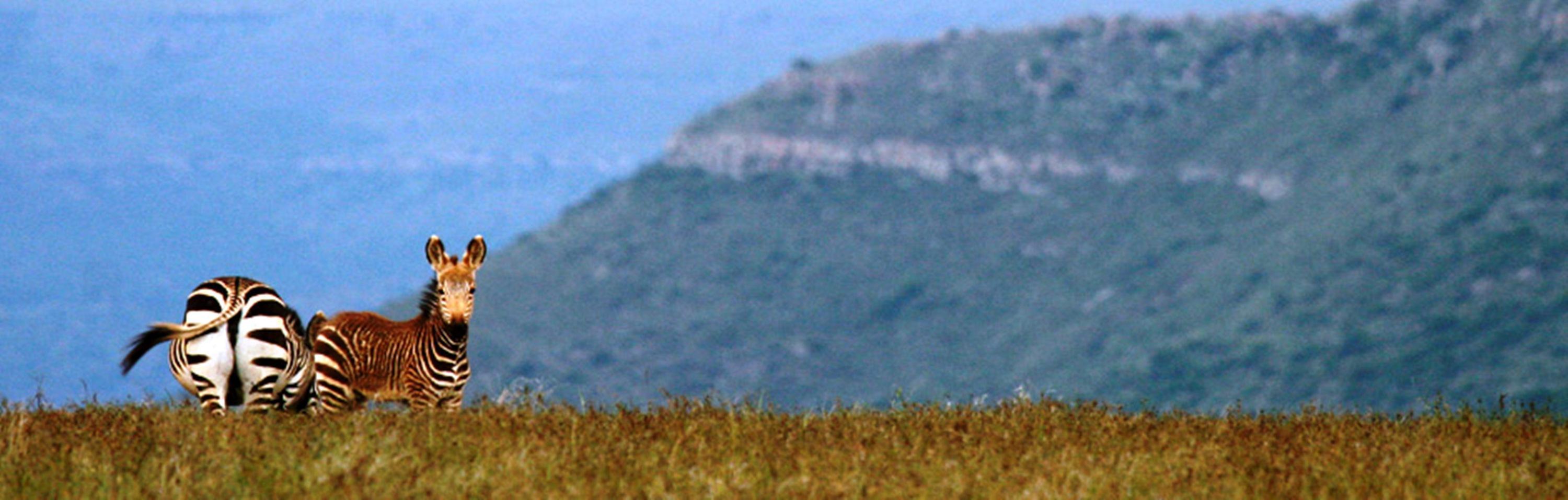 Mount Camdeboo Hotel Graaff-Reinet Buitenkant foto