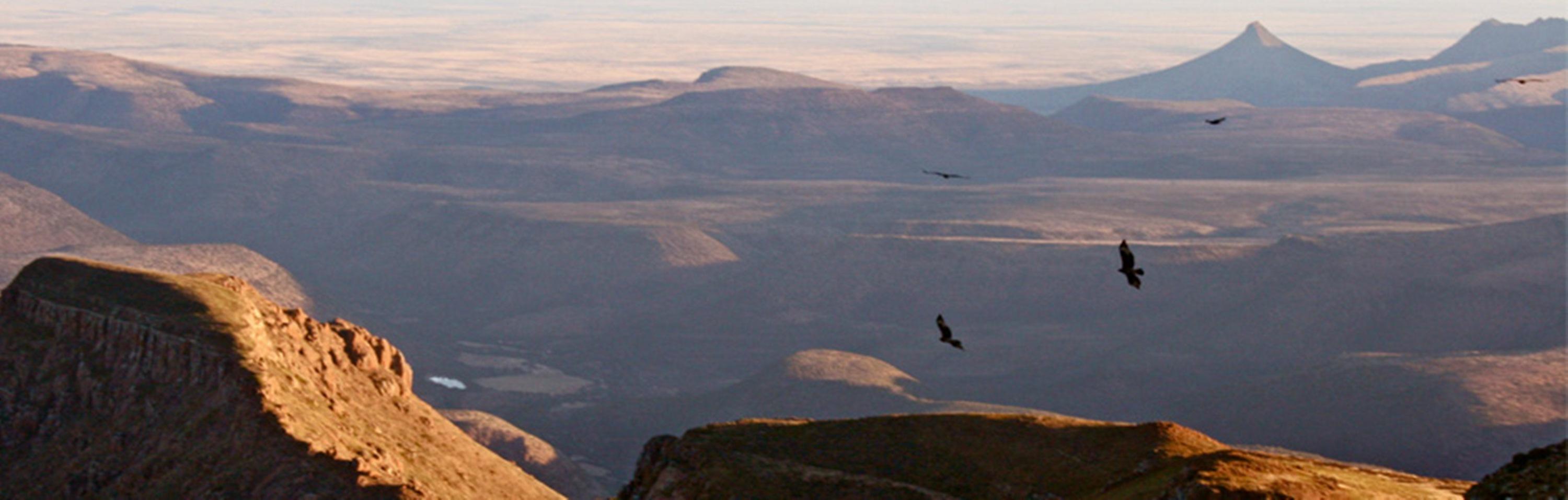 Mount Camdeboo Hotel Graaff-Reinet Buitenkant foto