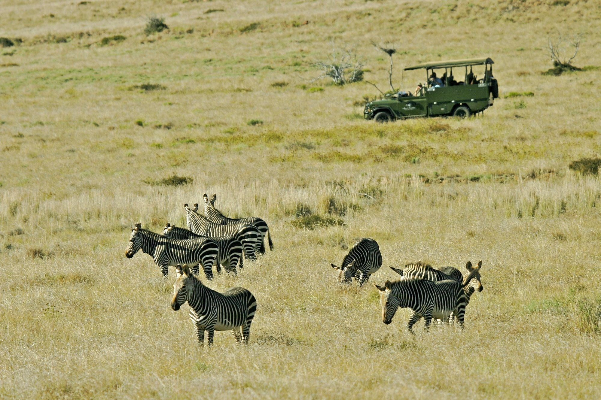 Mount Camdeboo Hotel Graaff-Reinet Buitenkant foto